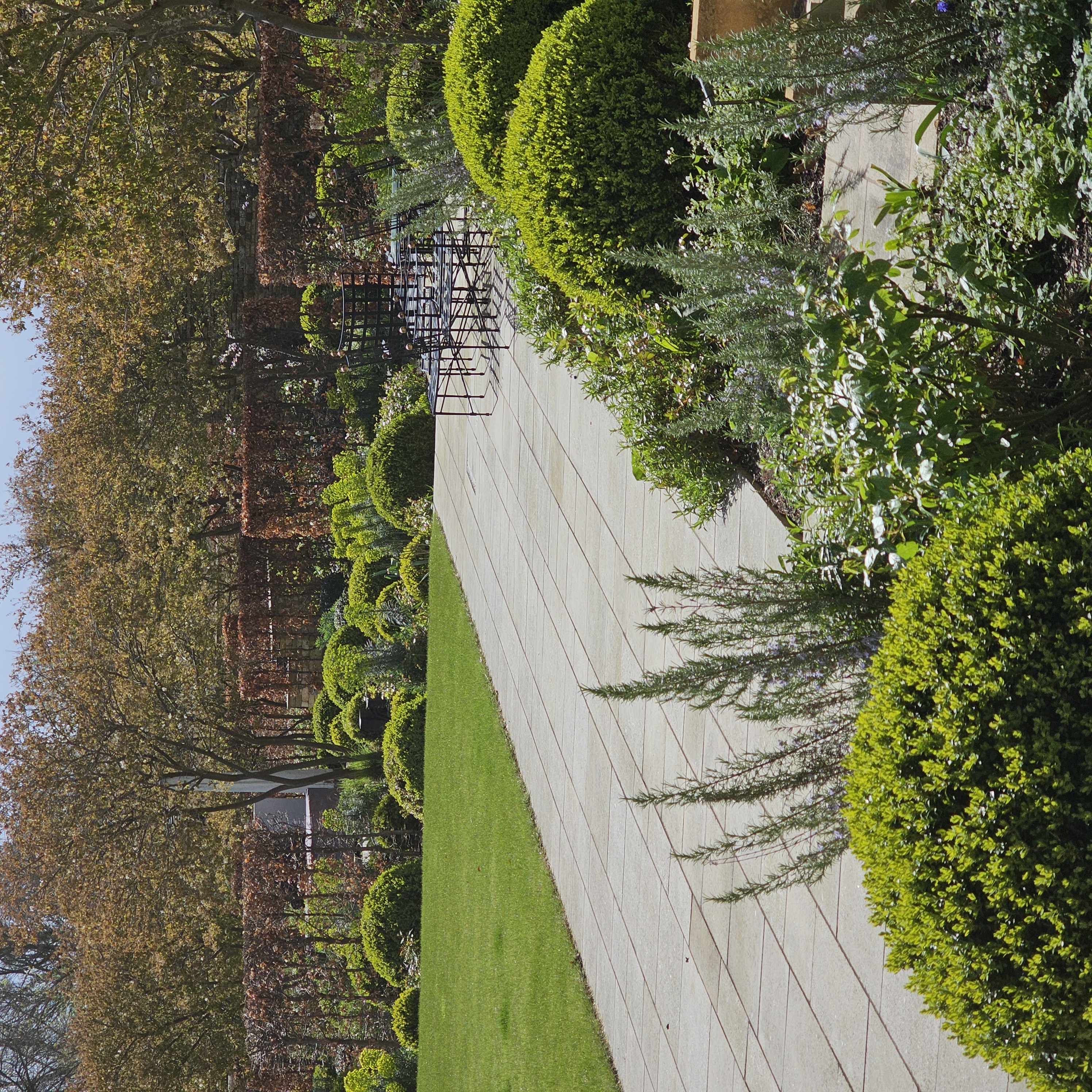 Established formal garden with clipped evergreen forms, paving and layered planting